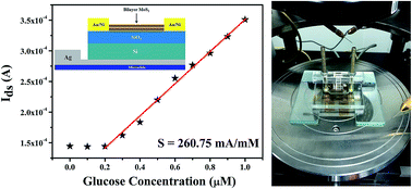 Graphical abstract: High sensitivity glucose detection at extremely low concentrations using a MoS2-based field-effect transistor