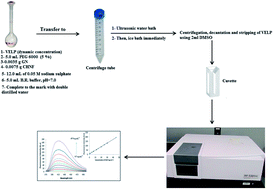 Graphical abstract: Enhanced dispersive solid phase extraction assisted by cloud point strategy prior to fluorometric determination of anti-hepatitis C drug velpatasvir in pharmaceutical tablets and body fluids