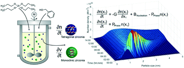 Graphical abstract: Experimental and numerical insights into the formation of zirconia nanoparticles: a population balance model for the nonaqueous synthesis