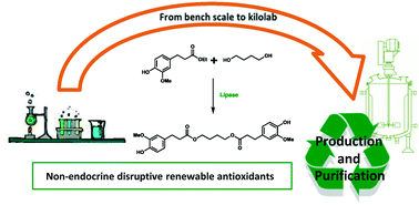 Graphical abstract: From bench scale to kilolab production of renewable ferulic acid-based bisphenols: optimisation and evaluation of different purification approaches towards technical feasibility and process environmental sustainability