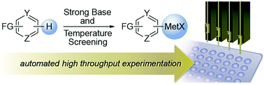 Graphical abstract: Selective functionalization of complex heterocycles via an automated strong base screening platform
