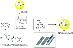 Graphical abstract: Mechanistic insight into oxidized N,N-dimethylacetamide as a source of formaldehyde related derivatives