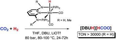Graphical abstract: Carbon dioxide hydrogenation catalysed by well-defined Mn(i) PNP pincer hydride complexes