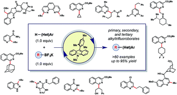 Graphical abstract: Metal-free C–H alkylation of heteroarenes with alkyltrifluoroborates: a general protocol for 1°, 2° and 3° alkylation