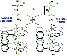 Graphical abstract: Multi-electron reduction of sulfur and carbon disulfide using binuclear uranium(iii) borohydride complexes