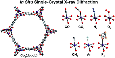 Graphical abstract: Structural characterization of framework–gas interactions in the metal–organic framework Co2(dobdc) by in situ single-crystal X-ray diffraction
