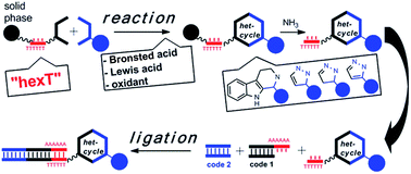 Graphical abstract: Acid- and Au(i)-mediated synthesis of hexathymidine-DNA-heterocycle chimeras, an efficient entry to DNA-encoded libraries inspired by drug structures