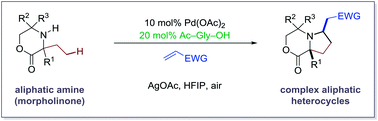 Graphical abstract: Ligand-assisted palladium-catalyzed C–H alkenylation of aliphatic amines for the synthesis of functionalized pyrrolidines