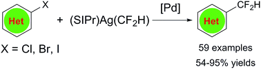 Graphical abstract: Palladium-catalyzed difluoromethylation of heteroaryl chlorides, bromides and iodides