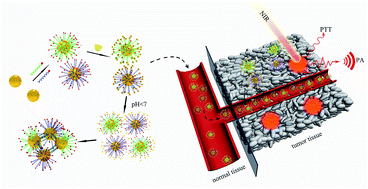 Graphical abstract: Tumor microenvironment-triggered fabrication of gold nanomachines for tumor-specific photoacoustic imaging and photothermal therapy