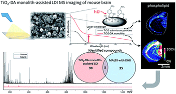 Graphical abstract: Dopamine-modified TiO2 monolith-assisted LDI MS imaging for simultaneous localization of small metabolites and lipids in mouse brain tissue with enhanced detection selectivity and sensitivity