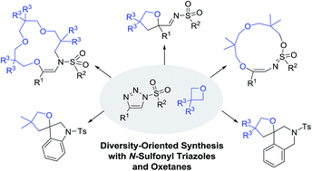 Graphical abstract: Diversity-oriented synthesis of heterocycles and macrocycles by controlled reactions of oxetanes with α-iminocarbenes