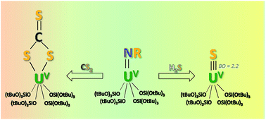 Graphical abstract: Metathesis of a UV imido complex: a route to a terminal UV sulfide