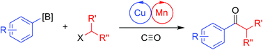 Graphical abstract: Cu/Mn bimetallic catalysis enables carbonylative Suzuki–Miyaura coupling with unactivated alkyl electrophiles