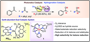 Graphical abstract: Dual cobalt–copper light-driven catalytic reduction of aldehydes and aromatic ketones in aqueous media