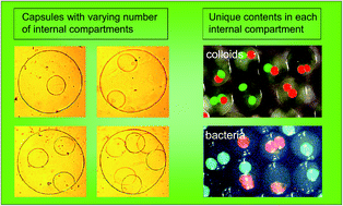 Graphical abstract: A new design for an artificial cell: polymer microcapsules with addressable inner compartments that can harbor biomolecules, colloids or microbial species