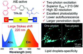 Graphical abstract: Two-photon AIE bio-probe with large Stokes shift for specific imaging of lipid droplets