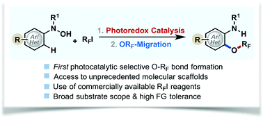 Graphical abstract: Selective C–O bond formation via a photocatalytic radical coupling strategy: access to perfluoroalkoxylated (ORF) arenes and heteroarenes