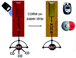 Graphical abstract: Light-responsive paper strips as CO-releasing material with a colourimetric response
