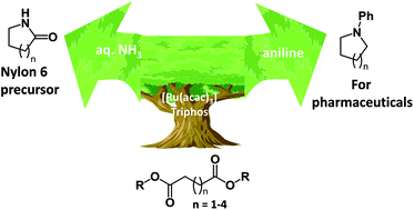 Graphical abstract: A new route to N-aromatic heterocycles from the hydrogenation of diesters in the presence of anilines