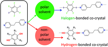 Graphical abstract: Hydrogen bonding vs. halogen bonding: the solvent decides