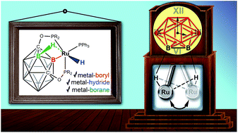 Graphical abstract: Rapid reversible borane to boryl hydride exchange by metal shuttling on the carborane cluster surface