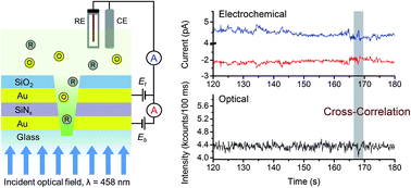 Graphical abstract: Single-molecule spectroelectrochemical cross-correlation during redox cycling in recessed dual ring electrode zero-mode waveguides