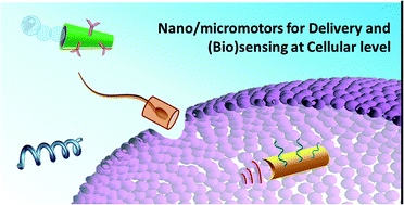 Graphical abstract: Nano/microvehicles for efficient delivery and (bio)sensing at the cellular level