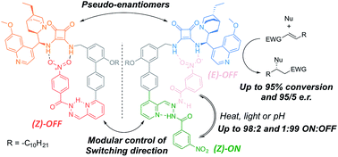 Graphical abstract: A complementary pair of enantioselective switchable organocatalysts