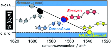 Graphical abstract: Oligomers of cyclopentadithiophene-vinylene in aromatic and quinoidal versions and redox species with intermediate forms