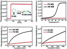 Graphical abstract: Fluorinated molecular beacons as functional DNA nanomolecules for cellular imaging
