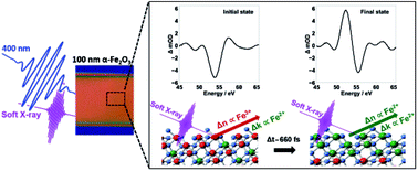 Graphical abstract: Surface electron dynamics in hematite (α-Fe2O3): correlation between ultrafast surface electron trapping and small polaron formation