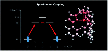 Graphical abstract: Intra-molecular origin of the spin-phonon coupling in slow-relaxing molecular magnets