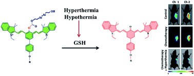 Graphical abstract: A ratiometric fluorescent probe for imaging and quantifying anti-apoptotic effects of GSH under temperature stress