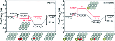 Graphical abstract: Doping palladium with tellurium for the highly selective electrocatalytic reduction of aqueous CO2 to CO