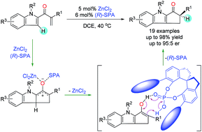 Graphical abstract: Enantioselective Nazarov cyclization of indole enones cooperatively catalyzed by Lewis acids and chiral Brønsted acids
