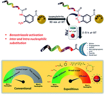 Graphical abstract: Expedient on-resin modification of a peptide C-terminus through a benzotriazole linker