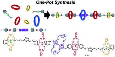 Graphical abstract: One-pot synthesis of hetero[6]rotaxane bearing three different kinds of macrocycle through a self-sorting process