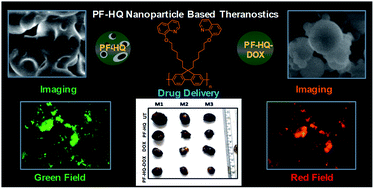 Graphical abstract: Multifunctional (3-in-1) cancer theranostics applications of hydroxyquinoline-appended polyfluorene nanoparticles