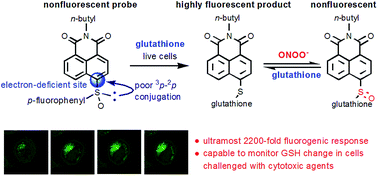 Graphical abstract: An ultrasensitive fluorogenic probe for revealing the role of glutathione in chemotherapy resistance