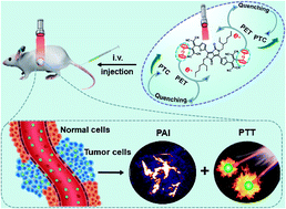 Graphical abstract: Self-quenched ferrocenyl diketopyrrolopyrrole organic nanoparticles with amplifying photothermal effect for cancer therapy