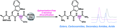 Graphical abstract: Epimerization-free access to C-terminal cysteine peptide acids, carboxamides, secondary amides, and esters via complimentary strategies
