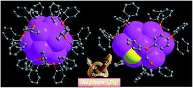 Graphical abstract: Diphosphine-protected ultrasmall gold nanoclusters: opened icosahedral Au13 and heart-shaped Au8 clusters