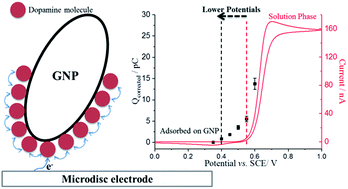 Graphical abstract: Impact electrochemistry reveals that graphene nanoplatelets catalyse the oxidation of dopamine via adsorption