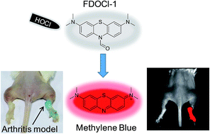 Graphical abstract: Deformylation reaction-based probe for in vivo imaging of HOCl