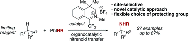 Graphical abstract: Organocatalytic nitrenoid transfer: metal-free selective intermolecular C(sp3)–H amination catalyzed by an iminium salt