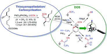 Graphical abstract: A thiocyanopalladation/carbocyclization transformation identified through enzymatic screening: stereocontrolled tandem C–SCN and C–C bond formation