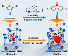 Graphical abstract: Enhancing the stability and porosity of penetrated metal–organic frameworks through the insertion of coordination sites