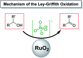 Graphical abstract: Elucidating the mechanism of the Ley–Griffith (TPAP) alcohol oxidation