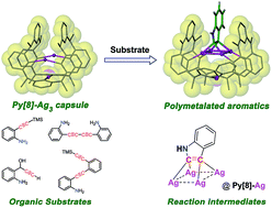 Graphical abstract: Synthesis of stable polymetalated aromatic complexes through metal–macrocycle capsule-triggered cyclization